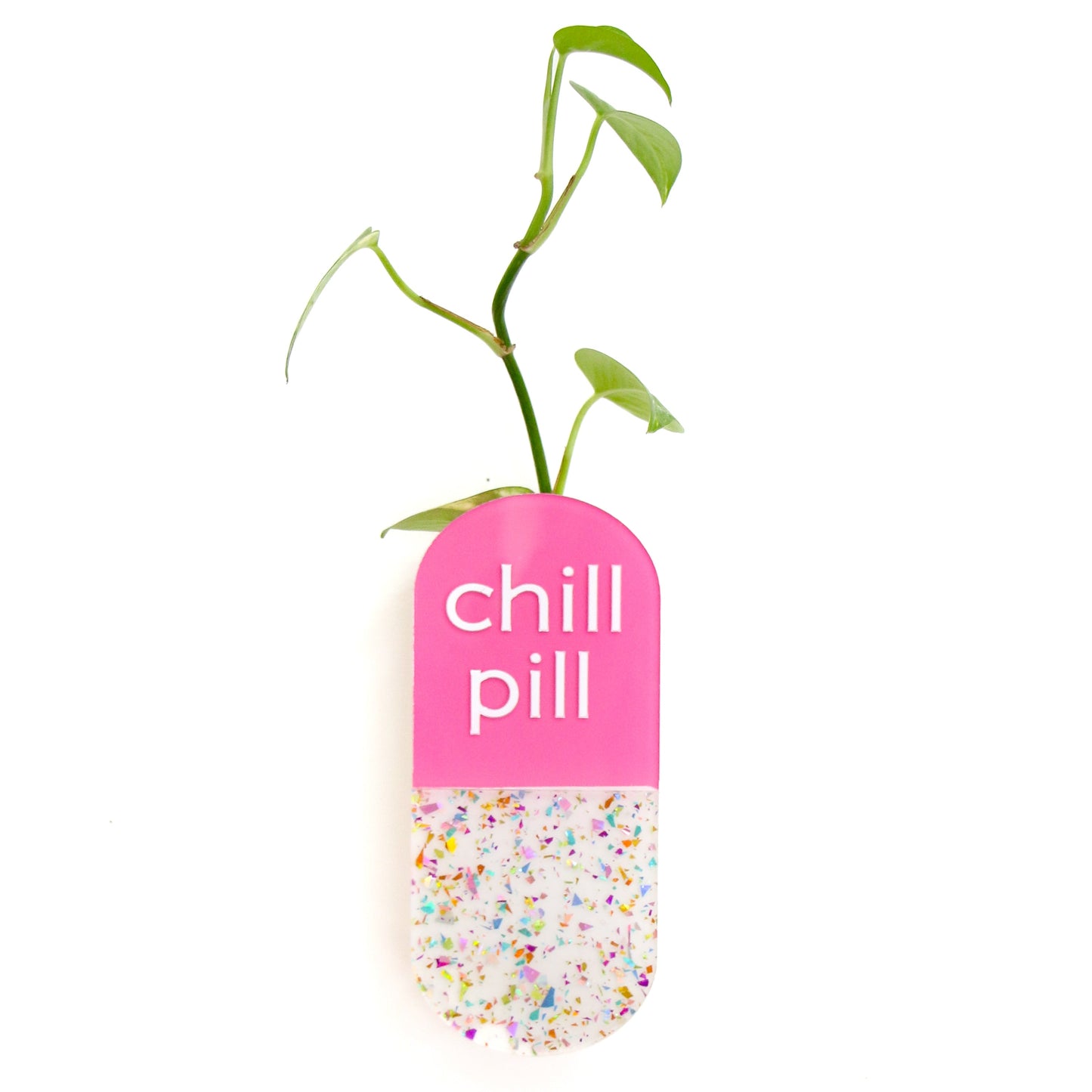 Chill Pill hanging Propagation planter- bud vase