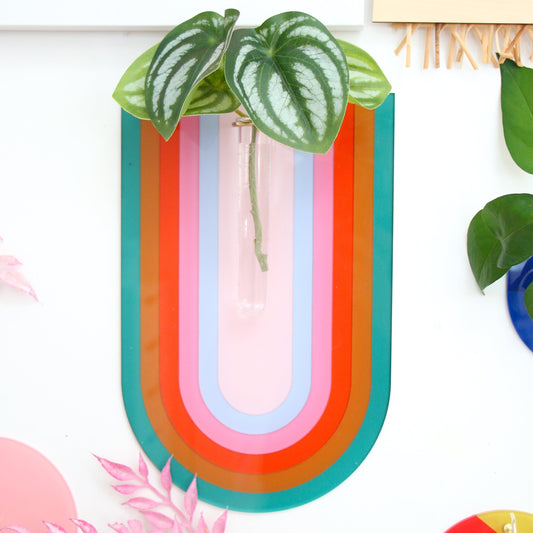 Large rainbow arch wall hook