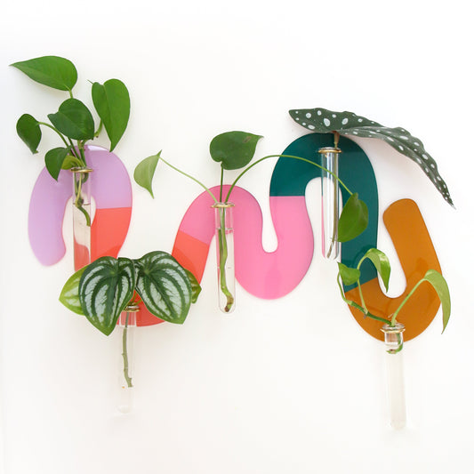 Squiggle striped propagation planter wall station