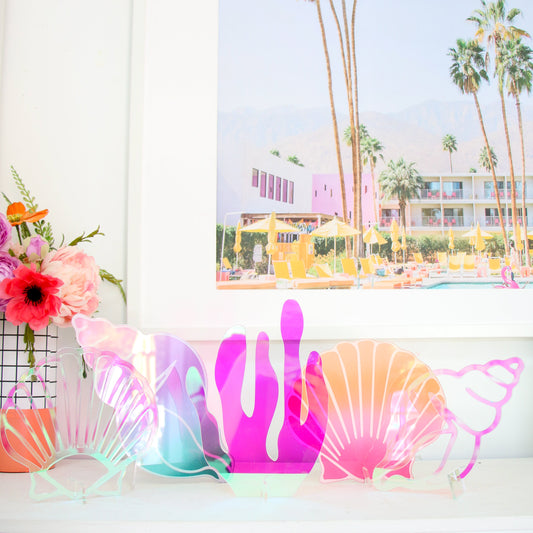 Iridescent shell acrylic decor