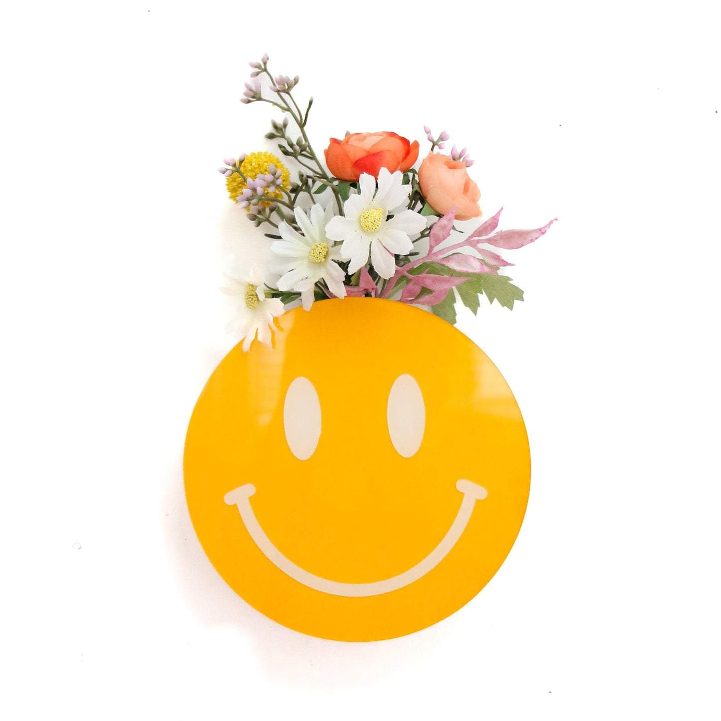 Smiley face hanging propagation planter