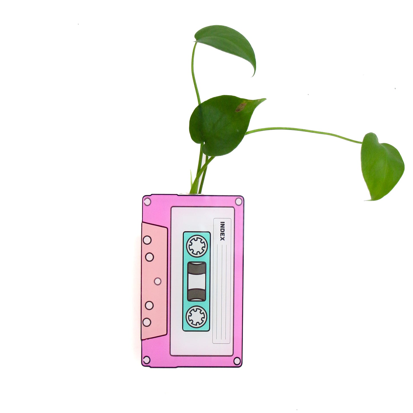 Mix tape hanging propagation planter