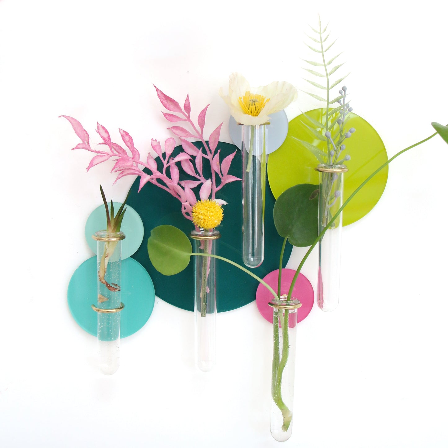 Test tubes for propagation planter hooks