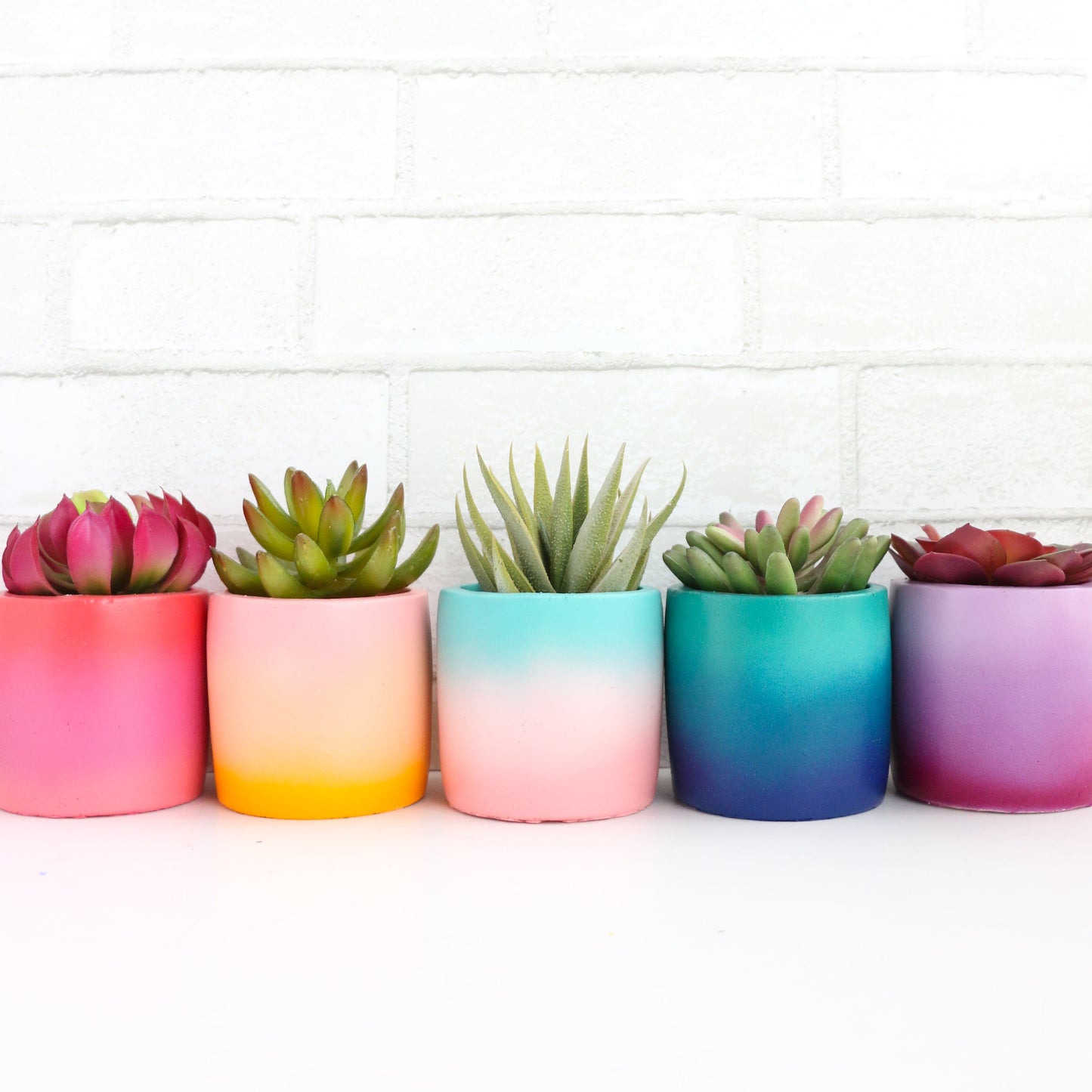 Gradient Cement Planter