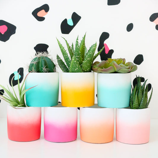 Ombre Cement Planter