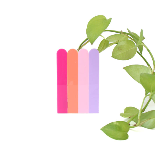 Scalloped Stripe Standing Propagation Planter